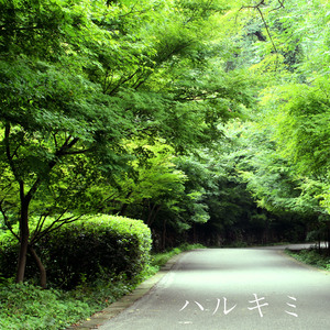 亚洲老女人毛绒绒
