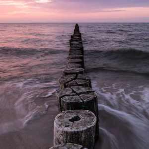 亚洲老女人毛绒绒
